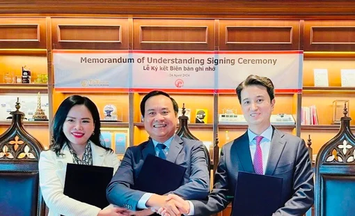 Tỉnh Quảng Trị và T&T Group hợp tác chuyển đổi năng lượng- tăng trưởng xanh với Tập đoàn SK (Hàn Quốc)