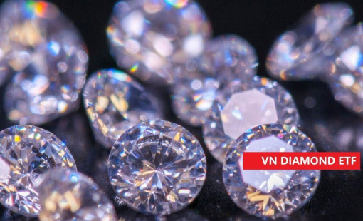 Thêm một công ty chứng khoán dự báo MWG bị loại khỏi VNDiamond