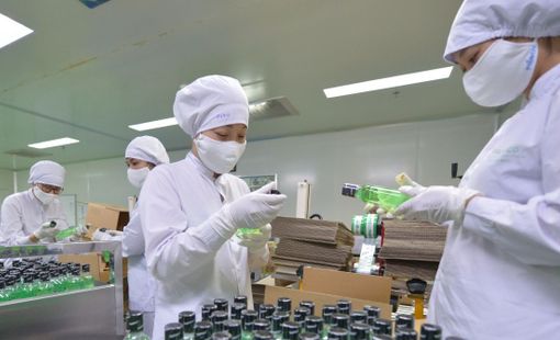 Traphaco đặt kế hoạch lợi nhuận năm 2024 tăng 6%, tham vọng lớn với mảng Tân dược