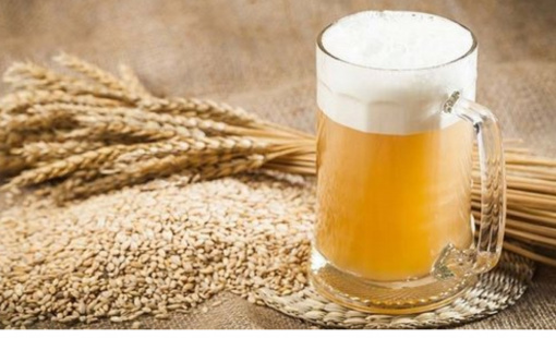 Doanh nghiệp đầu tiên sản xuất malt bia tại Việt Nam báo lỗ năm thứ 4 liên tiếp