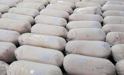 Giá heo hơi vào “sóng” tăng sắp chạm mốc 70.000 đồng/kg, nhiều 'ông lớn' đua nhau tái đàn