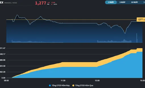 Rung lắc xuất hiện, dòng tiền tìm đến cổ phiếu Midcap và Penny