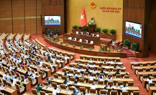 Đại biểu tranh luận trái chiều giữa hai phương án rút bảo hiểm một lần