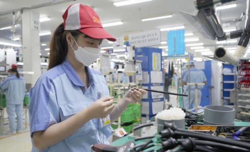 Việt Nam quay lại nhập siêu 1 tỷ USD trong tháng 5/2024