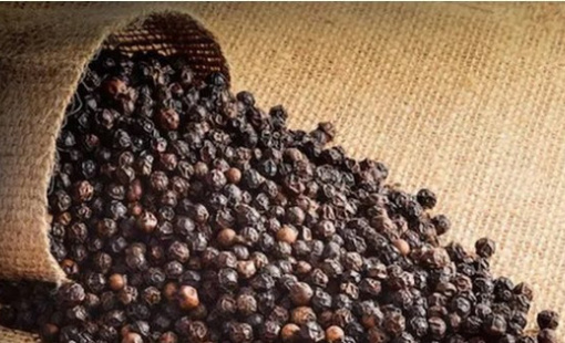 Giá hồ tiêu tăng mạnh, xuất khẩu sang nhiều thị trường tăng gấp đôi