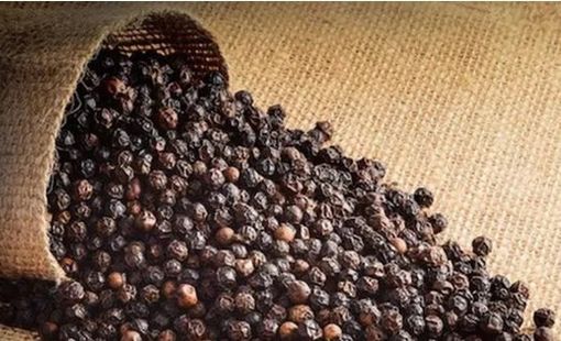 Giá hồ tiêu tăng mạnh, xuất khẩu sang nhiều thị trường tăng gấp đôi
