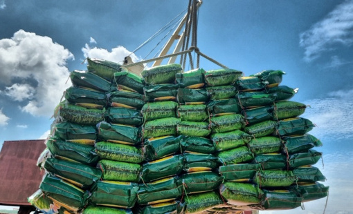 Bộ Công thương yêu cầu xác minh việc doanh nghiệp gạo “bỏ thầu giá thấp”