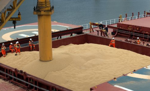 Một loạt mặt hàng Việt Nam nhập khẩu nhiều top đầu thế giới đang tăng giá mạnh, chuyện gì xảy ra?