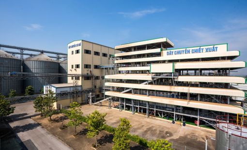 Dabaco chuẩn bị chào bán hơn 92 triệu cổ phiếu huy động vốn đầu tư Nhà máy ép dầu