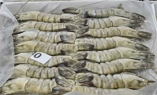 Xuất khẩu tôm sang Nhật Bản: Đồng yên yếu làm giảm sức mua