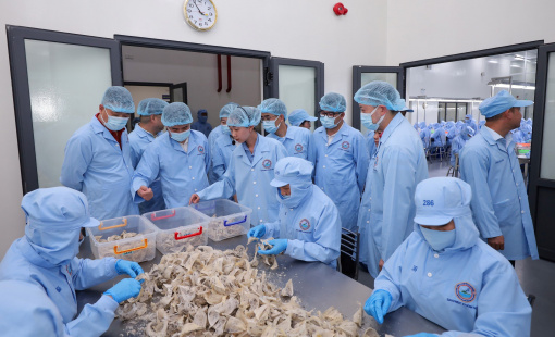 Sanvinest (SKV): Lợi nhuận quý I sụt giảm mạnh do "dồn sức" cho năm 2023, đặt mục tiêu xuất khẩu 250 tỷ đồng sang Trung Quốc