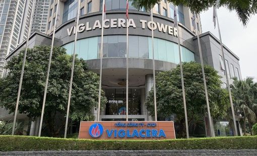 Viglacera đặt kế hoạch kinh doanh 2024 "đi lùi", dự kiến chia cổ tức tỷ lệ 20% bằng tiền