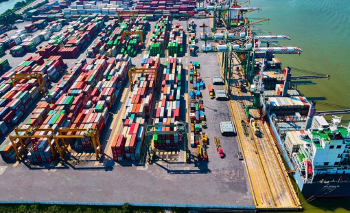 Viconship sau biến động nhân sự cấp cao và sự xuất hiện của cổ đông lớn duy nhất