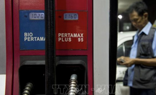 Tập đoàn dầu khí Indonesia đầu tư 6,2 tỷ USD cho năng lượng sạch