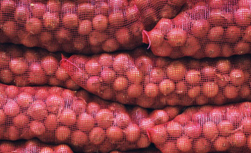 1 loại củ giá rẻ bán đầy chợ Việt đang làm "điêu đứng" nền kinh tế quốc gia lớn thứ 5 thế giới, giá tăng 165% chỉ trong một năm qua