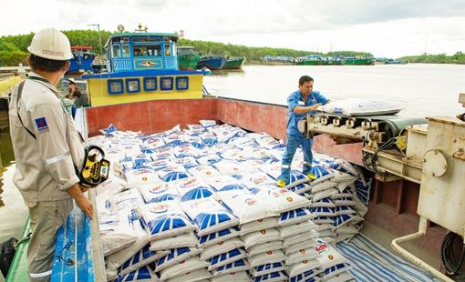 Nghịch lý ngành phân bón: Sản xuất dư thừa, nhập siêu vẫn tăng mạnh