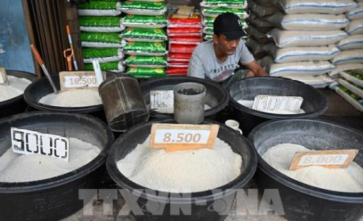 Thiếu gạo, Indonesia tìm cách đa dạng hoá nguồn lương thực