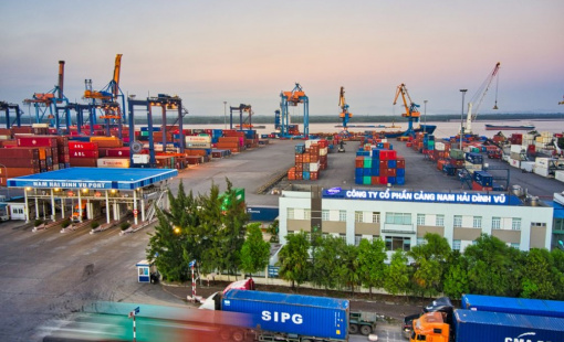 Viconship muốn vay 1.450 tỷ đồng từ Eximbank để thâu tóm Cảng Nam Hải Đình Vũ