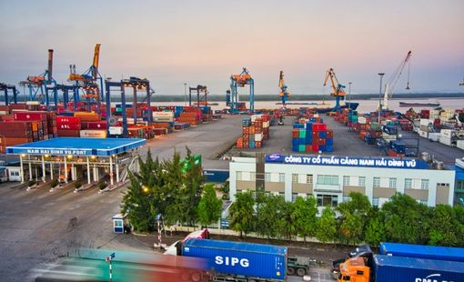 Viconship muốn vay 1.450 tỷ đồng từ Eximbank để thâu tóm Cảng Nam Hải Đình Vũ