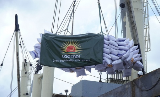 Áp giá sàn gạo xuất khẩu rất khó khả thi dẫn đến nguy cơ tồn đọng lúa trong dân