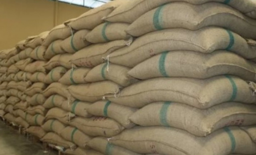 Quốc gia nhập khẩu lớn nhất thế giới bất ngờ giảm 1 nửa thuế đối với một loại nông sản cực quan trọng, Việt Nam sắp hưởng lợi lớn