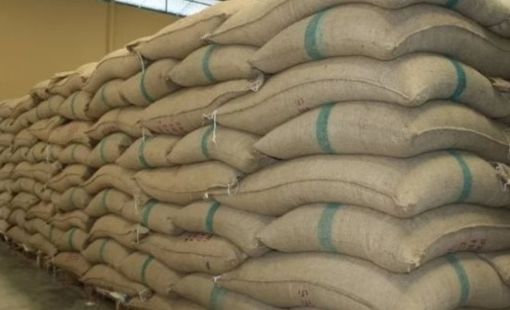 Quốc gia nhập khẩu lớn nhất thế giới bất ngờ giảm 1 nửa thuế đối với một loại nông sản cực quan trọng, Việt Nam sắp hưởng lợi lớn