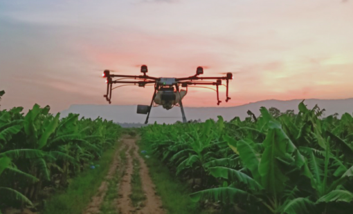 Thaco Agri báo lãi gần 42 tỷ đồng năm 2023