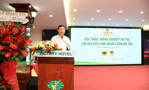 Kinh tế nông nghiệp trong GDP của khu vực đô thị còn rất thấp