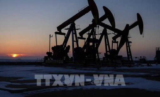 Bão Beryl không gây thiệt hại lớn, giá dầu thế giới giảm hơn 1%