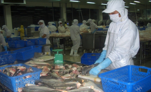 Tháng 6, kim ngạch xuất khẩu thủy sản đạt mức cao nhất kể từ đầu năm