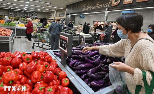 IMF giữ nguyên dự báo tăng trưởng toàn cầu năm 2024