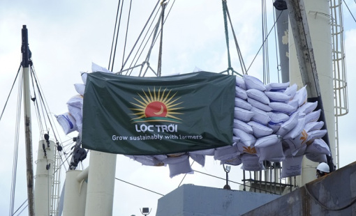 Thị trường trầm lắng kéo giá gạo xuất khẩu xuống thấp hơn giá Lộc Trời bỏ thầu Bulog