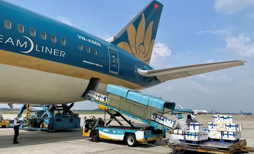 Dịch vụ Hàng hóa Sài Gòn báo lãi kỷ lục, thu 10 đồng lãi ròng 7 đồng