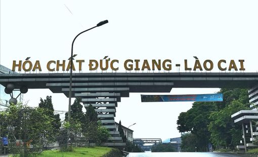 Hóa Chất Đức Giang báo lãi 6 tháng đi ngang, có hơn 10.000 tỷ đồng tiền gửi ngân hàng