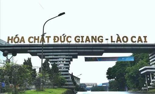 Hóa Chất Đức Giang báo lãi 6 tháng đi ngang, có hơn 10.000 tỷ đồng tiền gửi ngân hàng