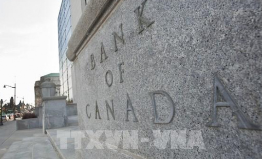 Thêm một ngân hàng trung ương lớn dự kiến cắt giảm lãi suất