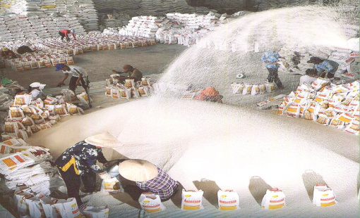 Indonesia đấu thầu mua 320.000 tấn gạo, giá gạo xuất khẩu sẽ tăng