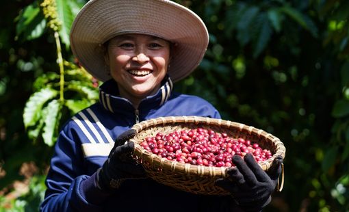 Nguồn cung khan hiếm giúp một nông sản chiến lược của Việt Nam liên tiếp xô đổ các đỉnh giá cũ