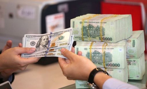 Tỷ giá USD/VND có thể tăng 6% trong năm nay