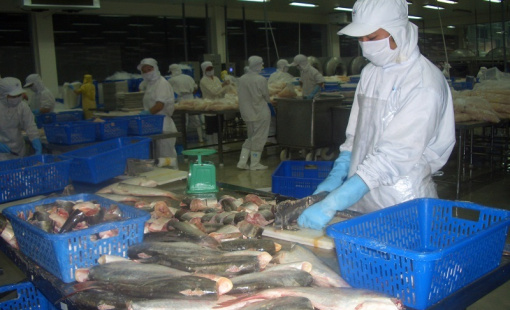 Thị trường tỷ dân rất chuộng nhóm hàng thủy sản tươi sống từ Việt Nam