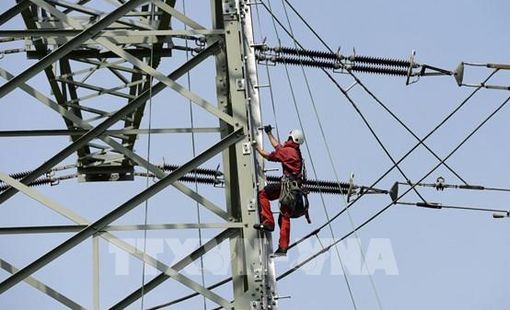 Giá điện bán buôn âm khi năng lượng tái tạo dư thừa