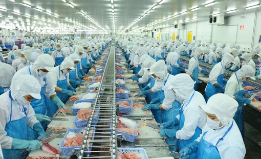 Giá vốn cao và áp lực chi phí "ăn mòn" lợi nhuận của Vĩnh Hoàn