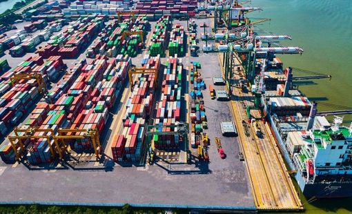 Chi hơn 3.000 tỷ đồng thâu tóm Cảng Nam Hải Đình Vũ, Viconship kinh doanh ra sao trong quý II?