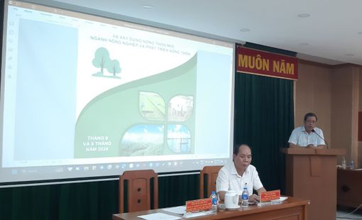 Cần bộ tiêu chuẩn chung cho loại trái cây có kim ngạch xuất khẩu tỷ đô