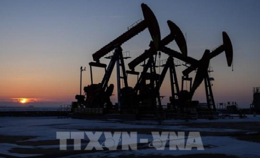 Giá dầu thế giới vượt ngưỡng quan trọng sau thông tin về Mỹ