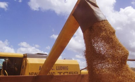 2 ông trùm nông sản của thế giới đua nhau mang “báu vật” giá cực rẻ đến Việt Nam: Chi hơn 1 tỷ USD nhập khẩu, nước ta là ‘cá mập’ tiêu thụ top đầu