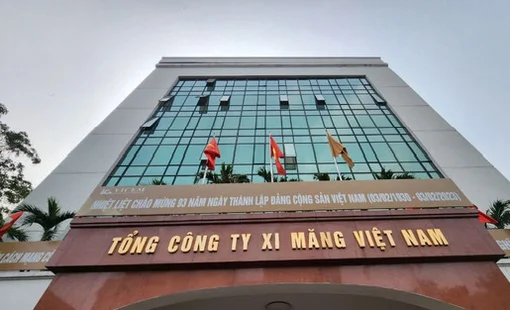 Bộ Tài chính thanh tra VICEM và 3 công ty con