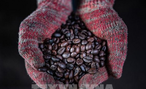 Trung Quốc: Nhu cầu gia tăng thúc đẩy hoạt động nhập khẩu cà phê