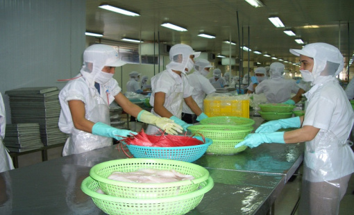 Kim ngạch xuất khẩu cá tra tháng 7 tăng trưởng 2 con số