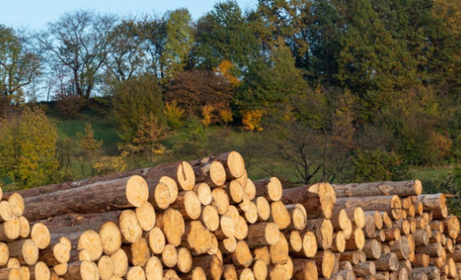 Nhóm hàng được Mỹ, Trung Quốc liên tục đổ tiền mua: thu về gần 9 tỷ USD, Việt Nam lọt top 5 thế giới